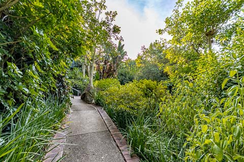 Gardens - Jorn's Guest House