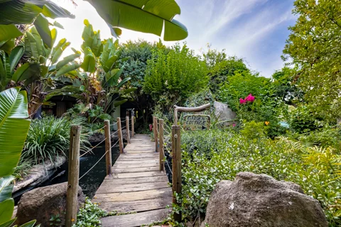 Jorn's Guest House