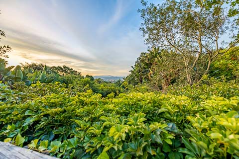 Gardens - Jorn's Guest House